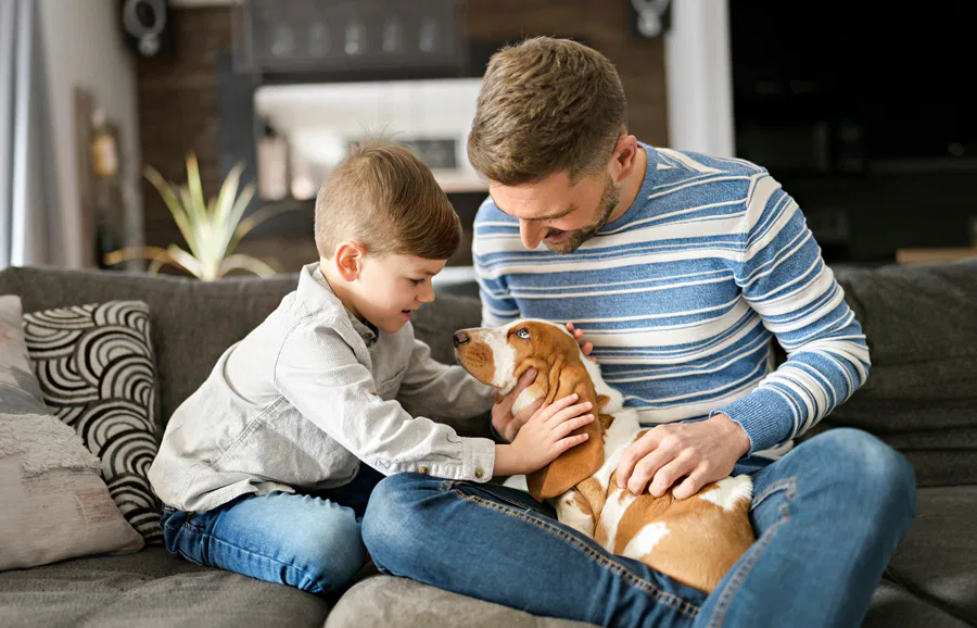 A father and his young son sitting on a cozy couch, smiling and bonding while petting a basset hound puppy in a warm, modern living room.
